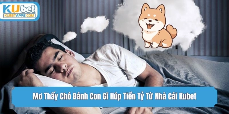 Mơ Thấy Chó Đánh Con Gì Húp Tiền Tỷ Từ Nhà Cái Kubet